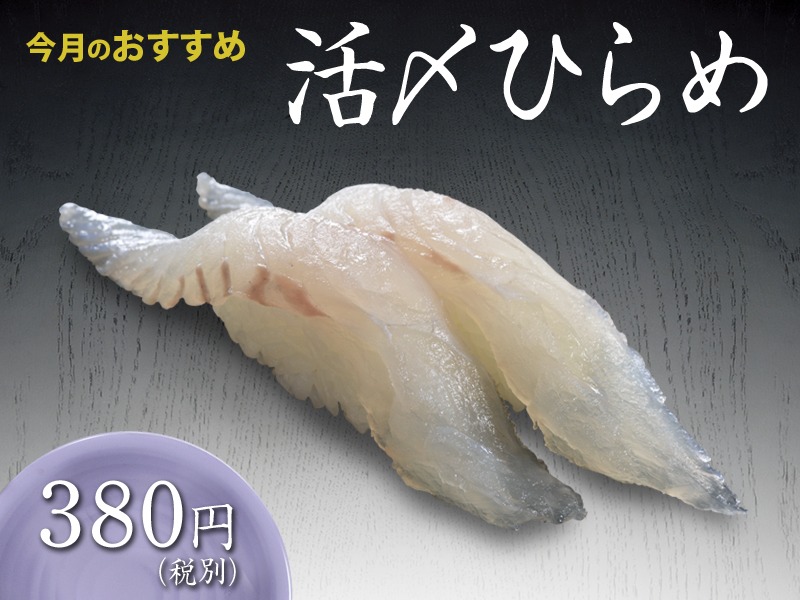 6月のおすすめ 活〆ひらめ 回転寿司割烹 伊達和さび 6月のおすすめ 活〆ひらめ 回転寿司割烹 伊達和さび